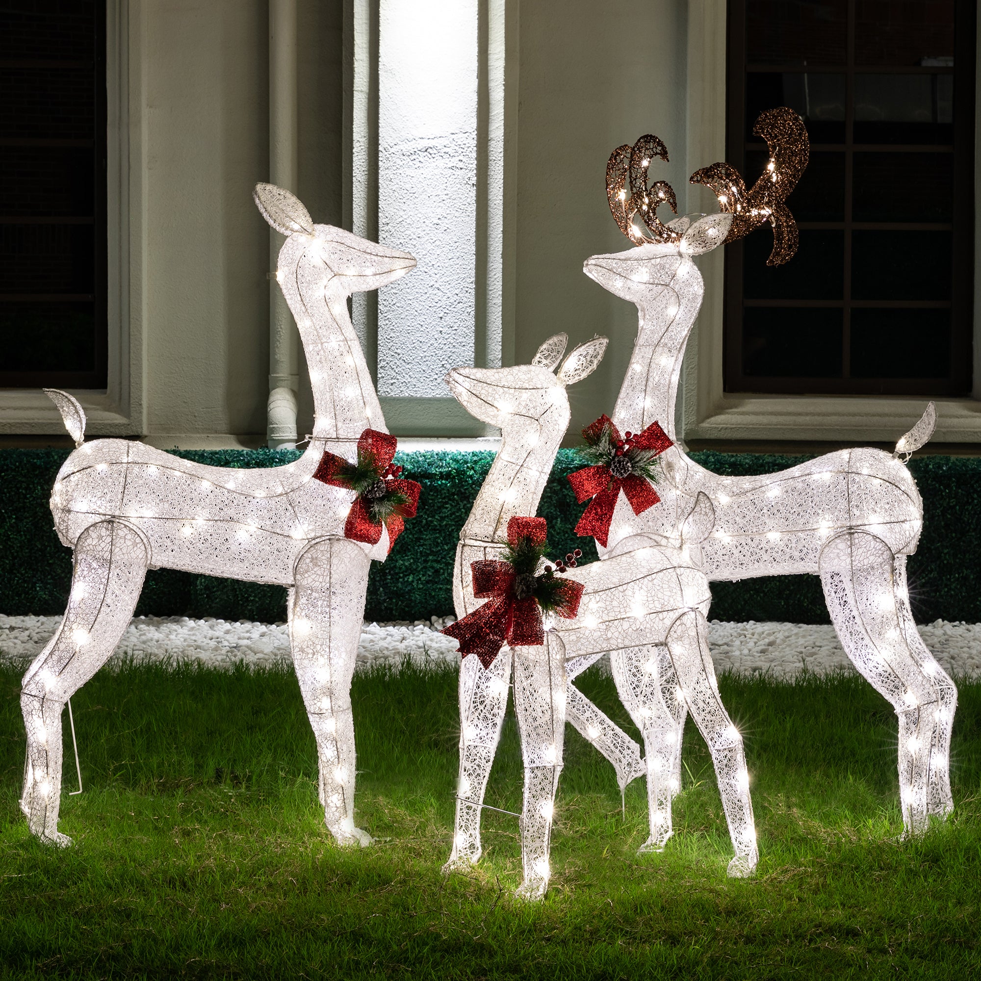 Lighting & Decor