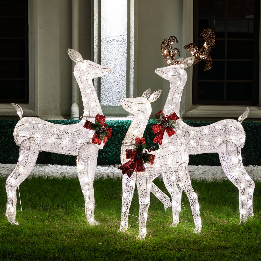 Lighting & Decor