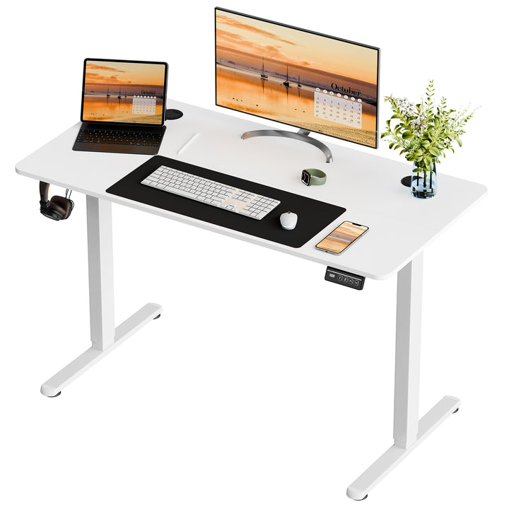 Walsunny Electric Office Ergonomic Standing Desk 1.2m / 1.4m / 1.6m With White Metal Table Base (7709656350896)