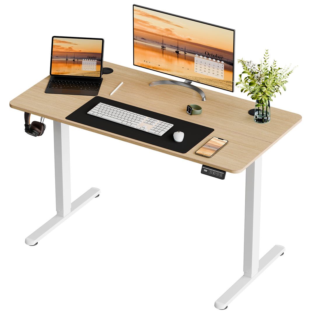 Walsunny Electric Office Ergonomic Standing Desk 1.2m / 1.4m / 1.6m With White Metal Table Base (7709656350896)