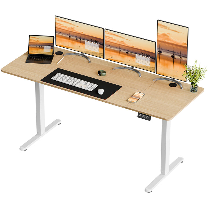 Walsunny Electric Office Ergonomic Standing Desk 1.2m / 1.4m / 1.6m With White Metal Table Base (7709656350896)