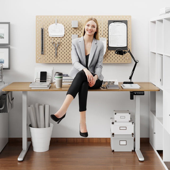 Walsunny Electric Office Ergonomic Standing Desk 1.2m / 1.4m / 1.6m With White Metal Table Base (7709656350896)