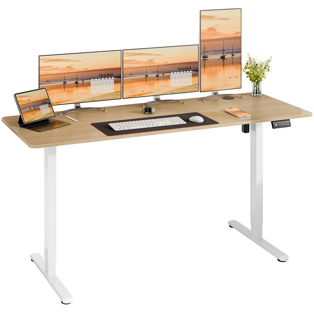 Walsunny Electric Office Ergonomic Standing Desk 1.2m / 1.4m / 1.6m With White Metal Table Base (7709656350896)