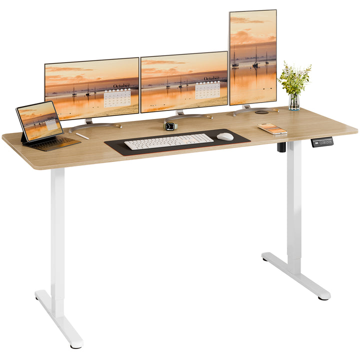 Walsunny Electric Office Ergonomic Standing Desk 1.2m / 1.4m / 1.6m With White Metal Table Base (7709656350896)