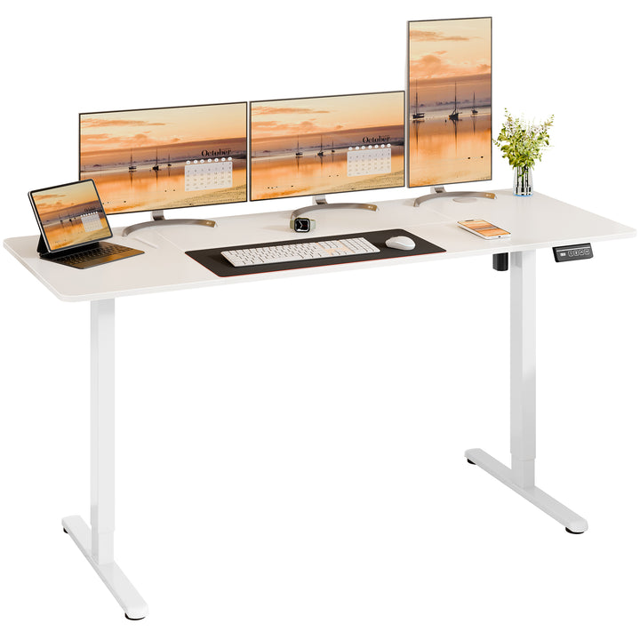 Walsunny Electric Office Ergonomic Standing Desk 1.2m / 1.4m / 1.6m With White Metal Table Base (7709656350896)