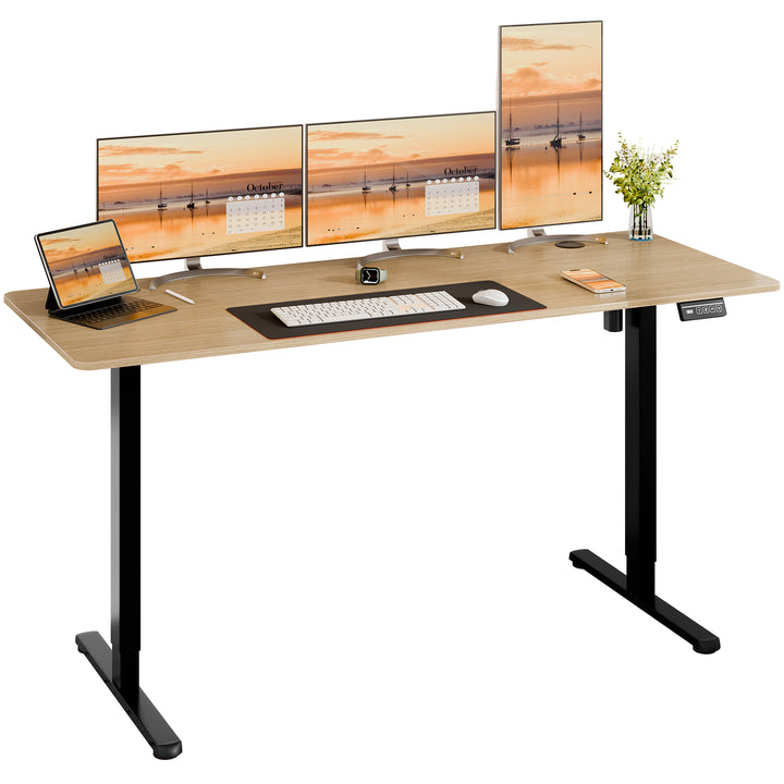 Walsunny Electric Office Ergonomic Standing Desk 1.2m / 1.4m / 1.6m With Black Metal Table Base (7709669294256)