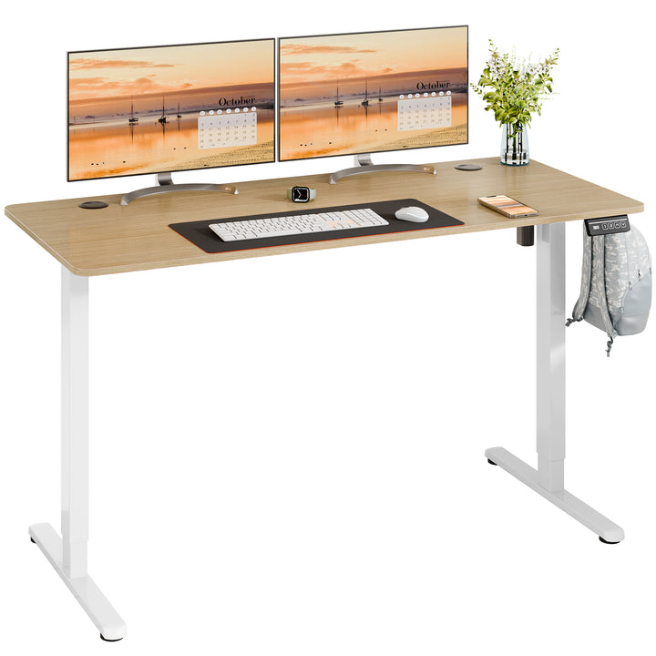 Walsunny Electric Office Ergonomic Standing Desk 1.2m / 1.4m / 1.6m With White Metal Table Base (7709656350896)