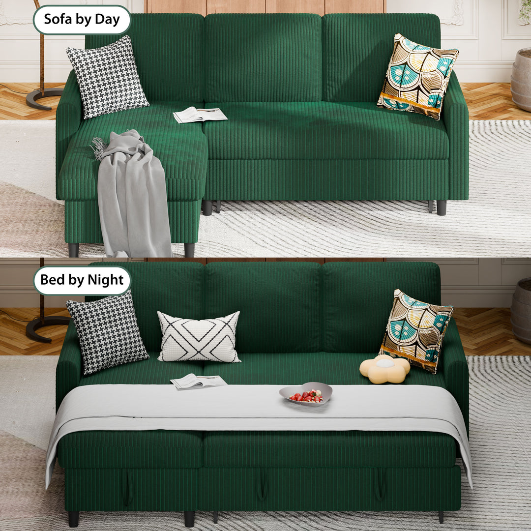 #color_avocado-green