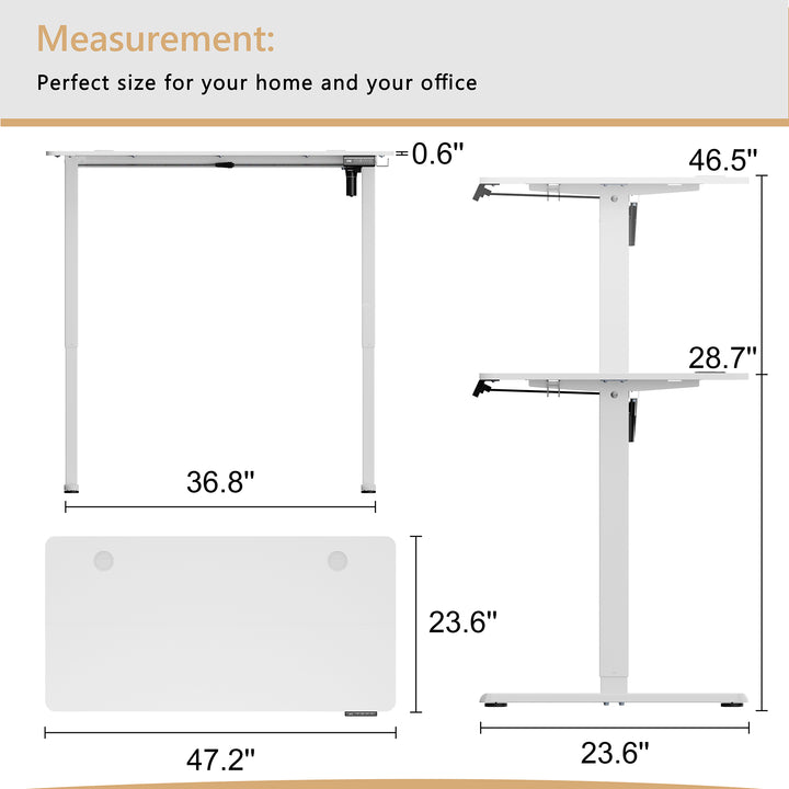 Walsunny Electric Office Ergonomic Standing Desk 1.2m / 1.4m / 1.6m With White Metal Table Base (7709656350896)