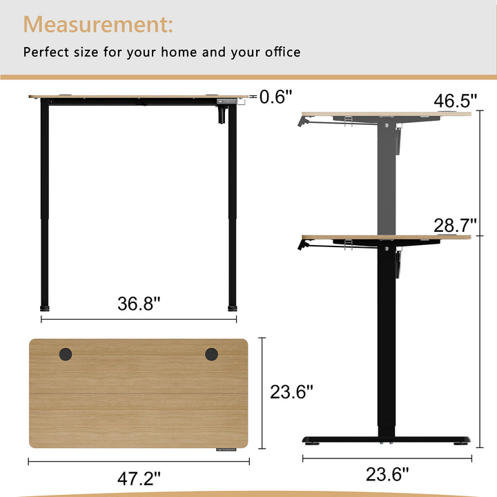 Walsunny Electric Office Ergonomic Standing Desk 1.2m / 1.4m / 1.6m With Black Metal Table Base (7709669294256)